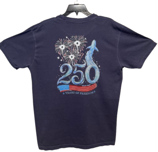 America 250 Years of Freedom Tee